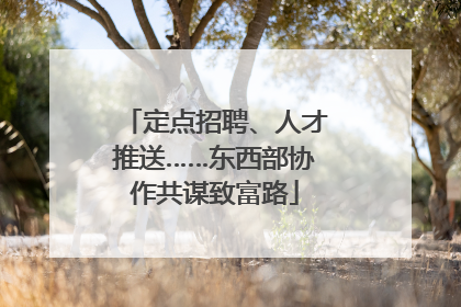 定点招聘、人才推送……东西部协作共谋致富路