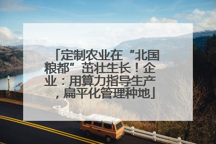 定制农业在“北国粮都”茁壮生长！企业：用算力指导生产，扁平化管理种地
