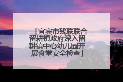宜宾市残联联合留耕镇政府深入留耕镇中心幼儿园开展食堂安全检查