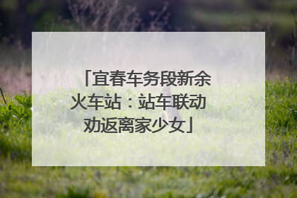 宜春车务段新余火车站：站车联动劝返离家少女