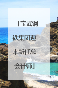 宝武钢铁集团迎来新任总会计师