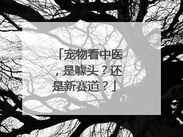 宠物看中医，是噱头？还是新赛道？