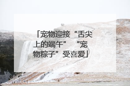 宠物迎接“舌尖上的端午” “宠物粽子”受喜爱