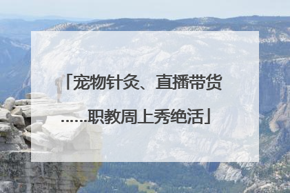 宠物针灸、直播带货……职教周上秀绝活