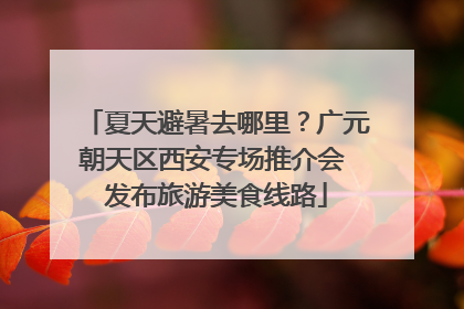 夏天避暑去哪里？广元朝天区西安专场推介会 发布旅游美食线路