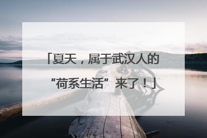 夏天，属于武汉人的“荷系生活”来了！