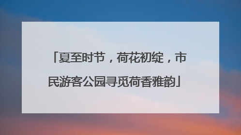 夏至时节，荷花初绽，市民游客公园寻觅荷香雅韵