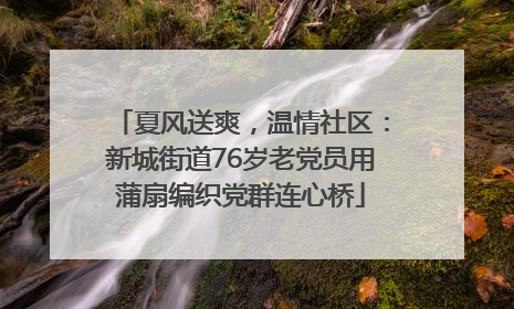 夏风送爽，温情社区：新城街道76岁老党员用蒲扇编织党群连心桥