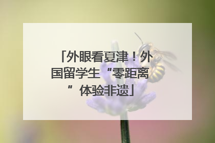 外眼看夏津！外国留学生“零距离”体验非遗
