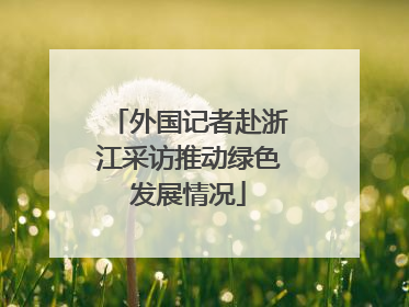 外国记者赴浙江采访推动绿色发展情况