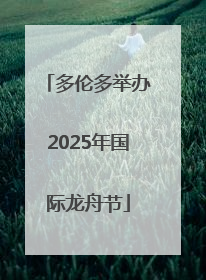 多伦多举办2025年国际龙舟节
