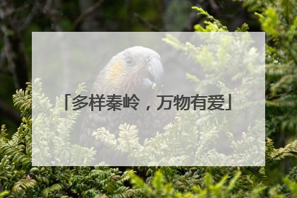 多样秦岭，万物有爱