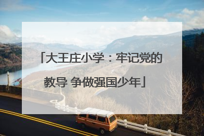 大王庄小学：牢记党的教导 争做强国少年