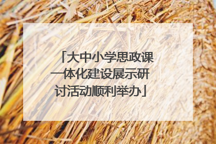 大中小学思政课一体化建设展示研讨活动顺利举办