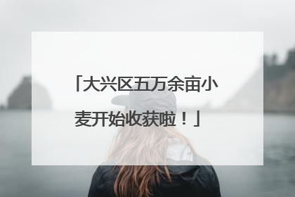 大兴区五万余亩小麦开始收获啦！