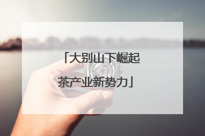 大别山下崛起茶产业新势力