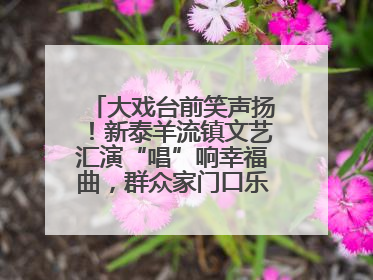 大戏台前笑声扬！新泰羊流镇文艺汇演“唱”响幸福曲，群众家门口乐享“文化大餐”