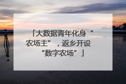 大数据青年化身“农场主”，返乡开设“数字农场”