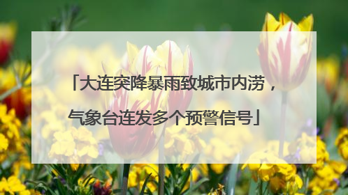 大连突降暴雨致城市内涝，气象台连发多个预警信号