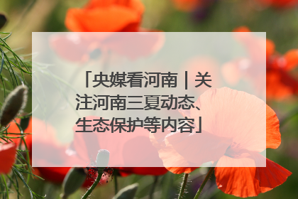 央媒看河南｜关注河南三夏动态、生态保护等内容