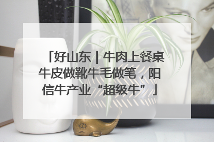 好山东｜牛肉上餐桌牛皮做靴牛毛做笔，阳信牛产业“超级牛”