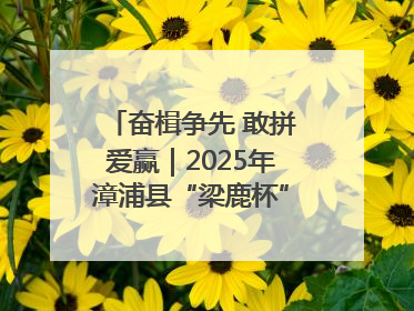 奋楫争先 敢拼爱赢｜2025年漳浦县“梁鹿杯”龙舟赛圆满举行