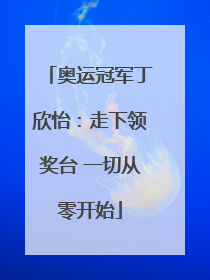 奥运冠军丁欣怡：走下领奖台 一切从零开始