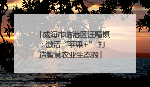 威海市临港区汪疃镇：激活“苹果+” 打造智慧农业生态圈