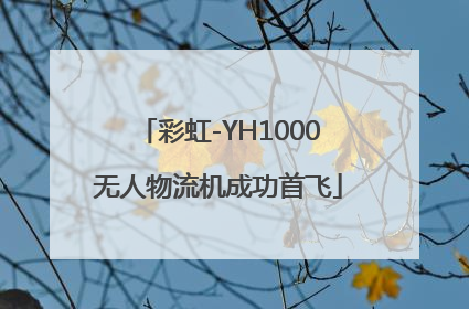 彩虹-YH1000无人物流机成功首飞