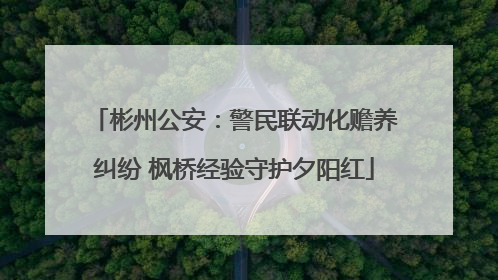 彬州公安：警民联动化赡养纠纷 枫桥经验守护夕阳红