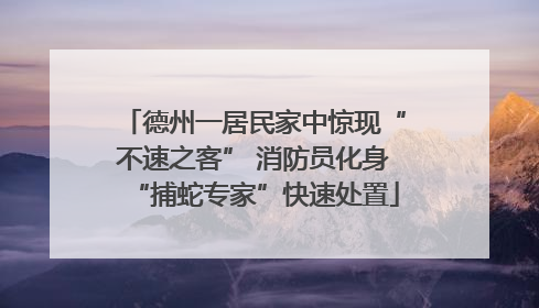 德州一居民家中惊现“不速之客” 消防员化身“捕蛇专家”快速处置