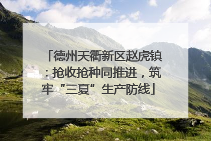 德州天衢新区赵虎镇：抢收抢种同推进，筑牢“三夏”生产防线