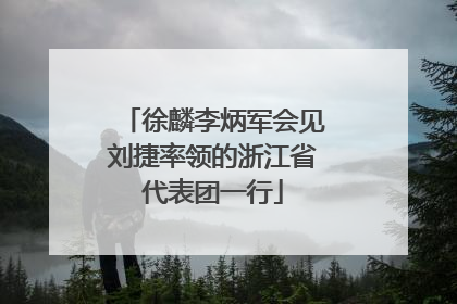 徐麟李炳军会见刘捷率领的浙江省代表团一行