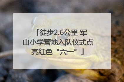 徒步2.6公里 军山小学营地入队仪式点亮红色“六一”