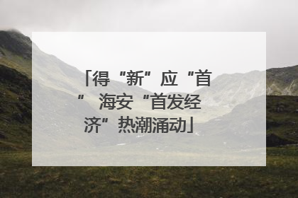 得“新”应“首” 海安“首发经济”热潮涌动