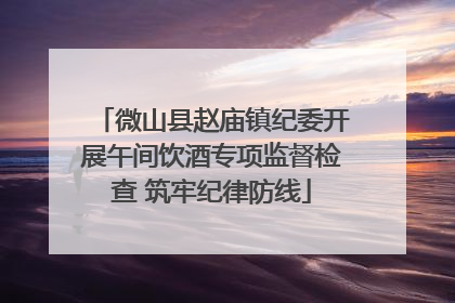 微山县赵庙镇纪委开展午间饮酒专项监督检查 筑牢纪律防线