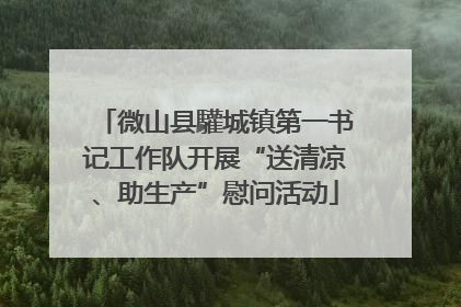 微山县驩城镇第一书记工作队开展“送清凉、助生产”慰问活动