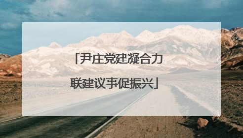 尹庄党建凝合力 联建议事促振兴