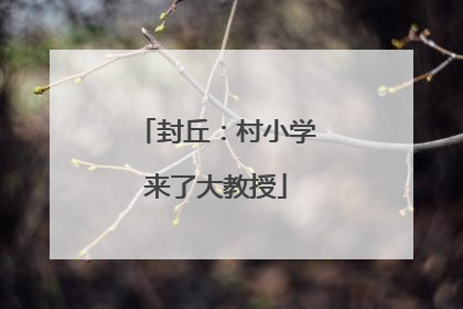 封丘：村小学来了大教授