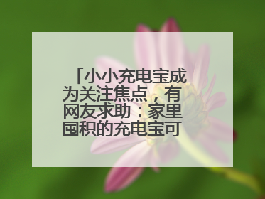 小小充电宝成为关注焦点，有网友求助：家里囤积的充电宝可以如何处理？