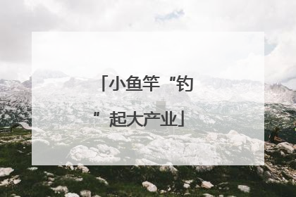 小鱼竿“钓”起大产业