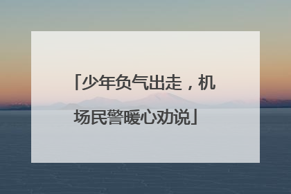 少年负气出走，机场民警暖心劝说