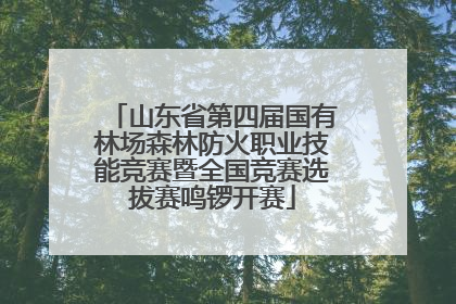 山东省第四届国有林场森林防火职业技能竞赛暨全国竞赛选拔赛鸣锣开赛