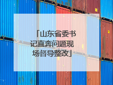 山东省委书记直奔问题现场督导整改