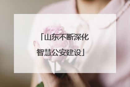 山东不断深化智慧公安建设