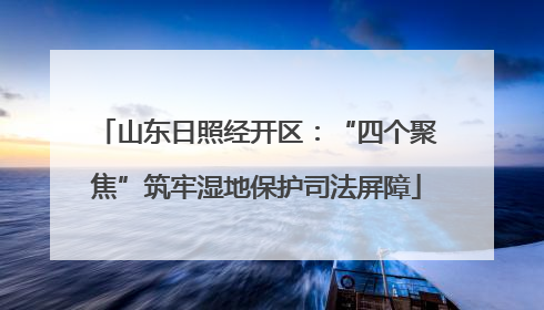 山东日照经开区：“四个聚焦”筑牢湿地保护司法屏障