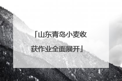 山东青岛小麦收获作业全面展开