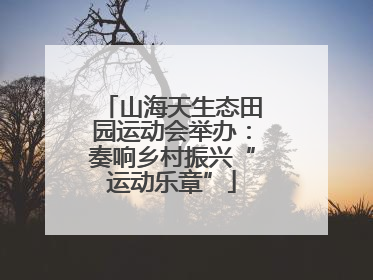 山海天生态田园运动会举办：奏响乡村振兴“运动乐章”