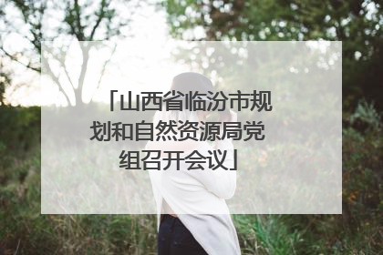 山西省临汾市规划和自然资源局党组召开会议
