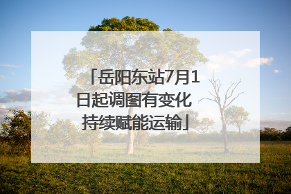 岳阳东站7月1日起调图有变化 持续赋能运输